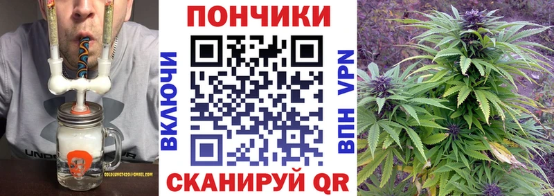 купить  цена  Кизляр  Бошки марихуана Ganja 